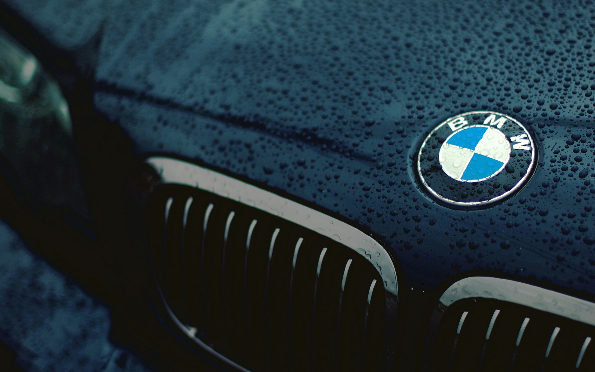 Как выбрать масло для автомобилей BMW