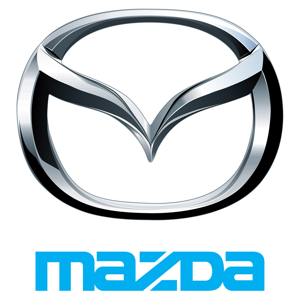 Задние колодки MAZDA LEY42643ZA